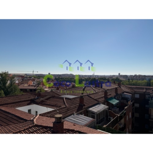 Vistas
